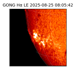 gong - 2025-08-25T08:05:42