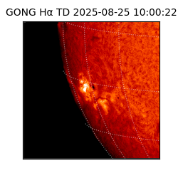 gong - 2025-08-25T10:00:22