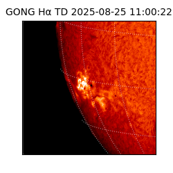 gong - 2025-08-25T11:00:22