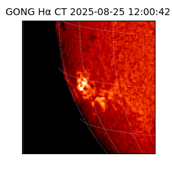 gong - 2025-08-25T12:00:42