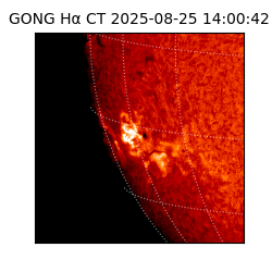 gong - 2025-08-25T14:00:42
