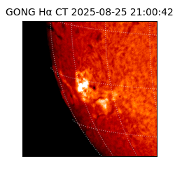 gong - 2025-08-25T21:00:42