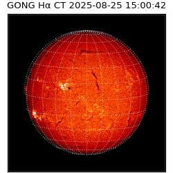 gong - 2025-08-25T15:00:42