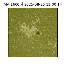 saia - 2025-08-26T11:00:14.129000