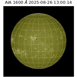 saia - 2025-08-26T13:00:14.125000