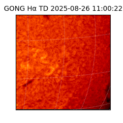 gong - 2025-08-26T11:00:22