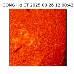 gong - 2025-08-26T12:00:42