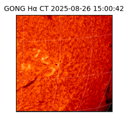 gong - 2025-08-26T15:00:42