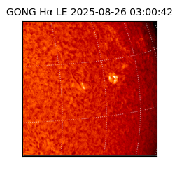 gong - 2025-08-26T03:00:42