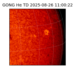 gong - 2025-08-26T11:00:22