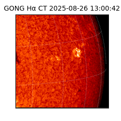 gong - 2025-08-26T13:00:42