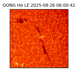 gong - 2025-08-26T06:00:42
