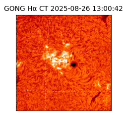 gong - 2025-08-26T13:00:42