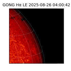 gong - 2025-08-26T04:00:42