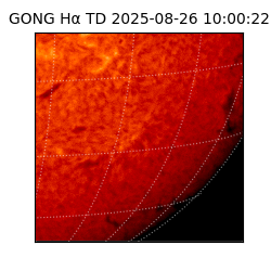 gong - 2025-08-26T10:00:22