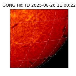 gong - 2025-08-26T11:00:22