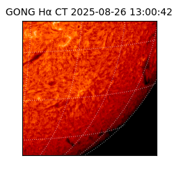 gong - 2025-08-26T13:00:42