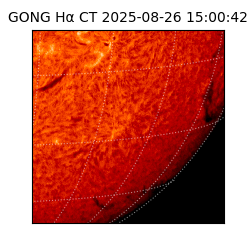 gong - 2025-08-26T15:00:42