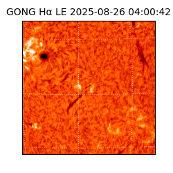gong - 2025-08-26T04:00:42