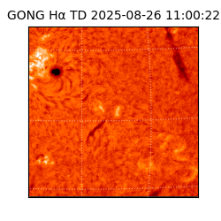 gong - 2025-08-26T11:00:22
