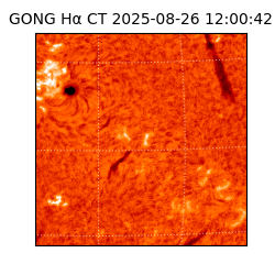 gong - 2025-08-26T12:00:42
