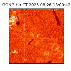 gong - 2025-08-26T13:00:42