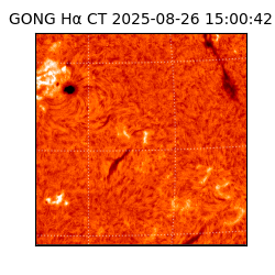 gong - 2025-08-26T15:00:42