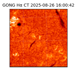 gong - 2025-08-26T16:00:42