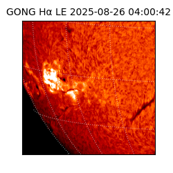 gong - 2025-08-26T04:00:42