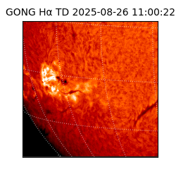 gong - 2025-08-26T11:00:22