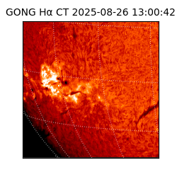 gong - 2025-08-26T13:00:42