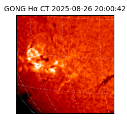 gong - 2025-08-26T20:00:42