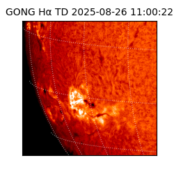 gong - 2025-08-26T11:00:22