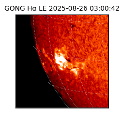gong - 2025-08-26T03:00:42