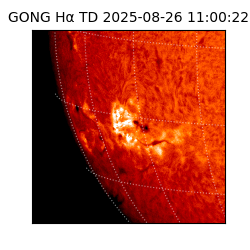 gong - 2025-08-26T11:00:22