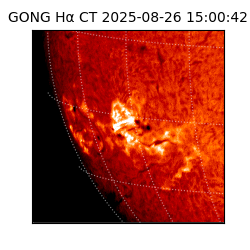 gong - 2025-08-26T15:00:42