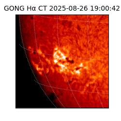 gong - 2025-08-26T19:00:42