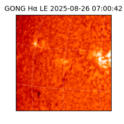 gong - 2025-08-26T07:00:42