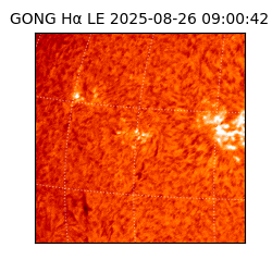 gong - 2025-08-26T09:00:42