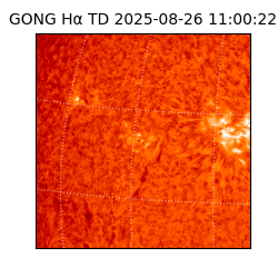 gong - 2025-08-26T11:00:22