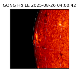 gong - 2025-08-26T04:00:42
