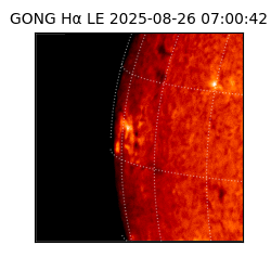gong - 2025-08-26T07:00:42