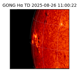 gong - 2025-08-26T11:00:22