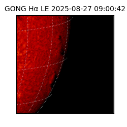gong - 2025-08-27T09:00:42