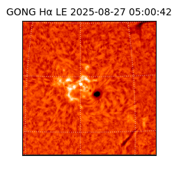 gong - 2025-08-27T05:00:42