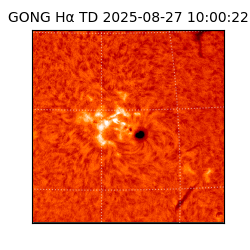 gong - 2025-08-27T10:00:22