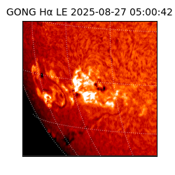 gong - 2025-08-27T05:00:42