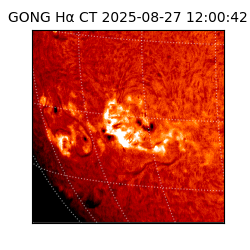 gong - 2025-08-27T12:00:42