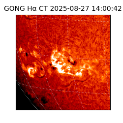 gong - 2025-08-27T14:00:42