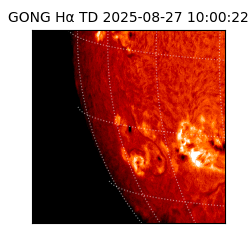 gong - 2025-08-27T10:00:22